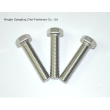 Stainless Steel/Carbon Steel Hex Bolts & Nuts Zinc Plated Hot Galvanized Hex Nut and Bolt (DIN933 AND DIN934)